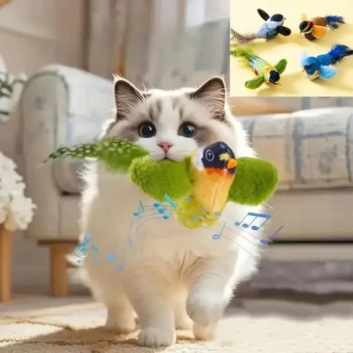 Jouet interactif d'intérieur pour chats
