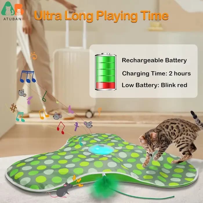 Jouets interactifs pour chat rechargeables