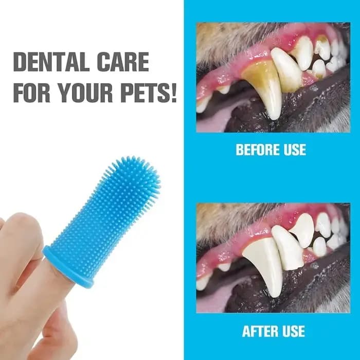 Chien Super doux animal de compagnie doigt brosse à dents nettoyage