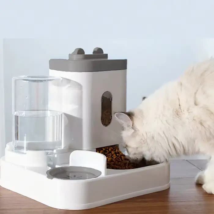 Bol pour chat chaud, ensemble de nourriture pour animaux de compagnie
