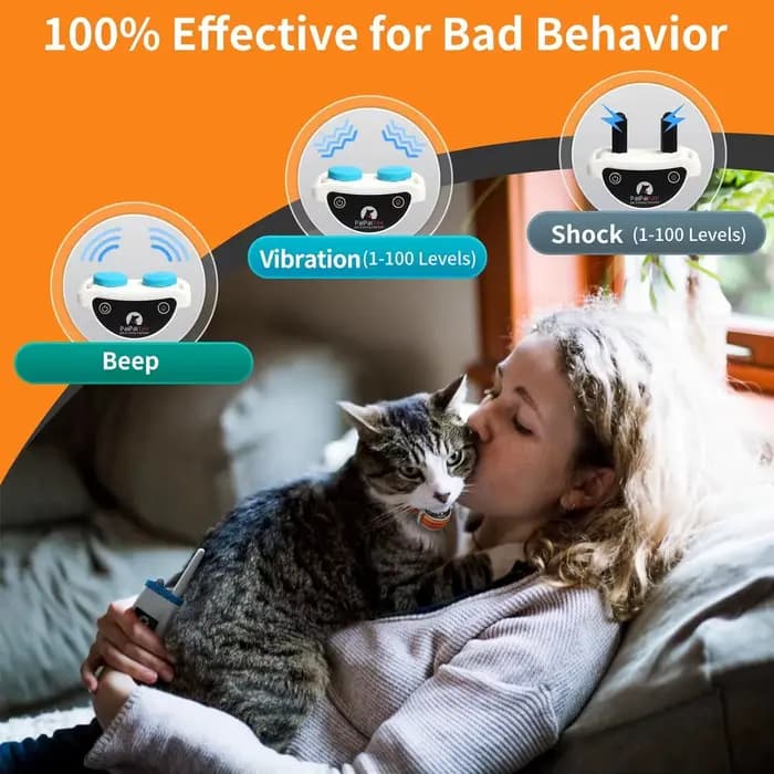 Collier d'entraînement automatique Anti-meow et pour chat 2 en 1