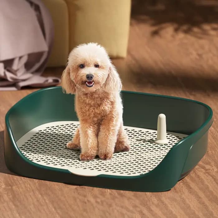 Toilettes portables pour animaux de compagnie