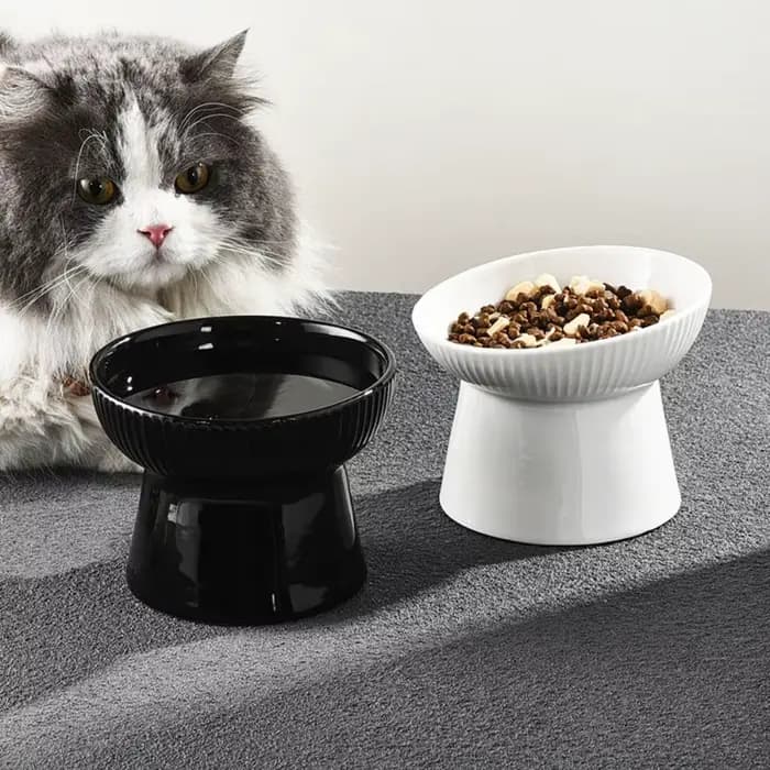 Bol en céramique pour chat
