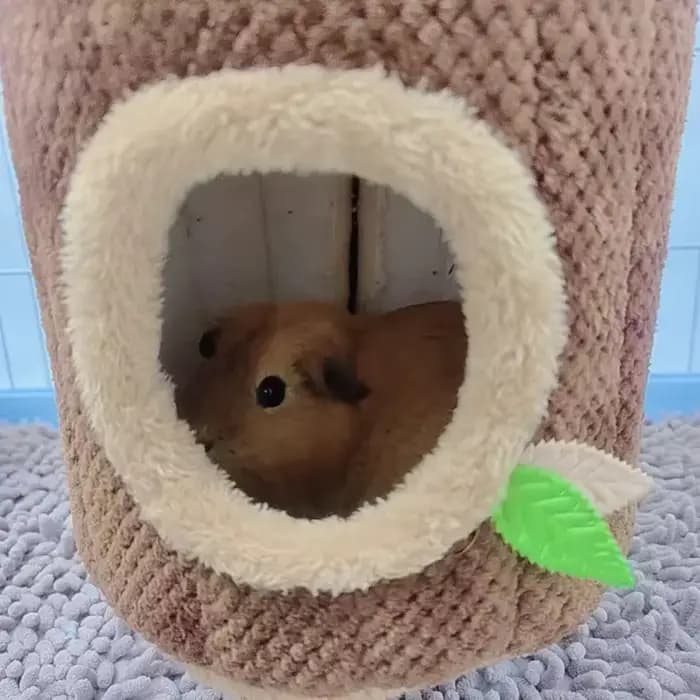 Lit suspendu chaud pour hamster en forme de souche d'arbre