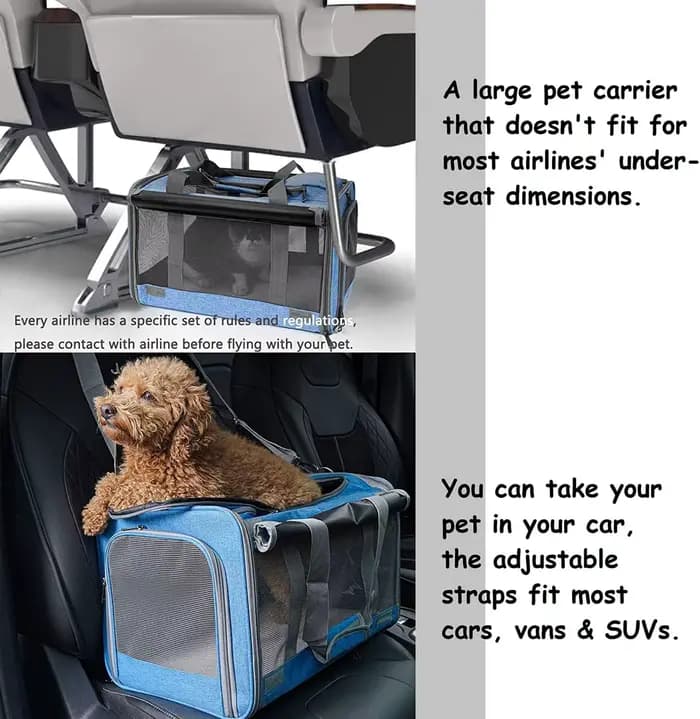 Transporteur pliable pour chat