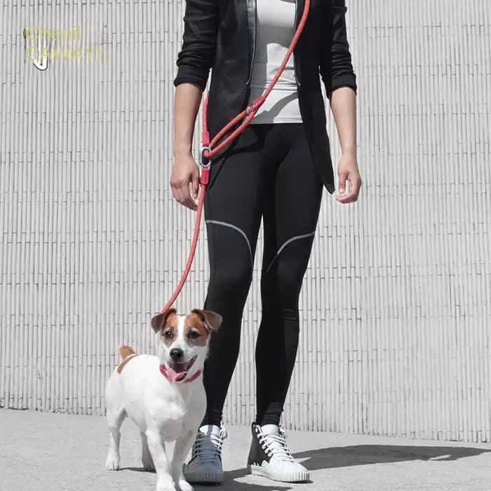 CAWAYI KENNEL Laisse en Nylon Réfléchissant pour Chien