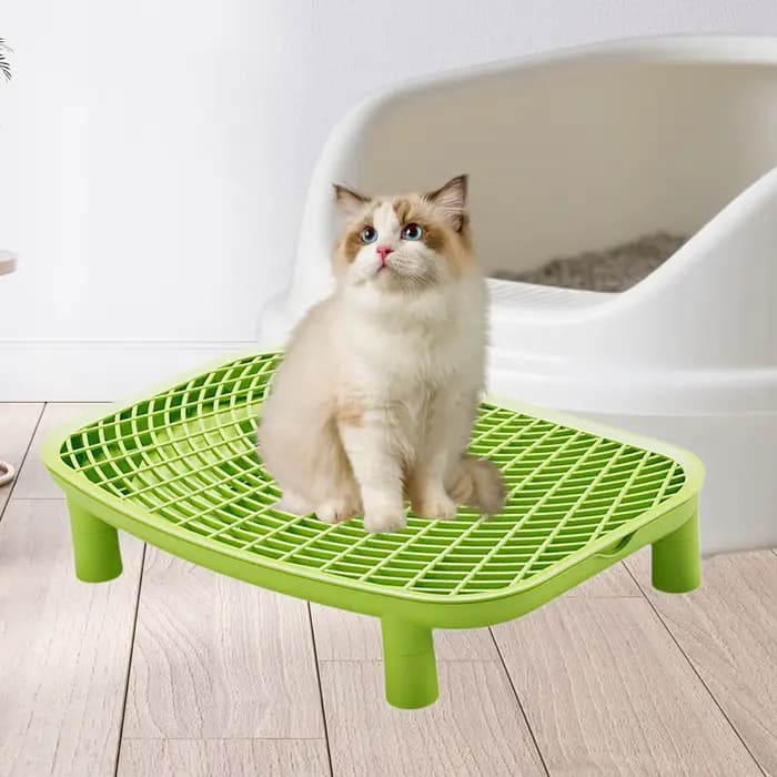 Rampe à litière pour chat