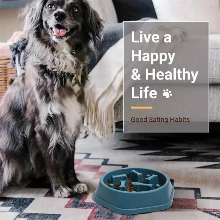 Bol à alimentation lente pour chien, anti-étouffement, accessoires pour animaux de compagnie, gamelle pour chien, alimentation saine, bol d'alimentation pour animaux