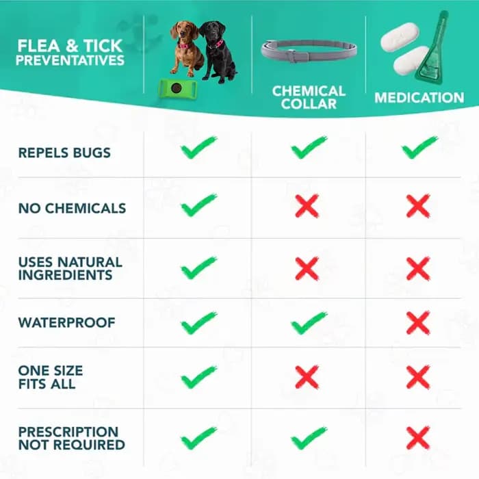 Huiles naturelles anti-puces et anti-touche pour collier de chiens et de chats