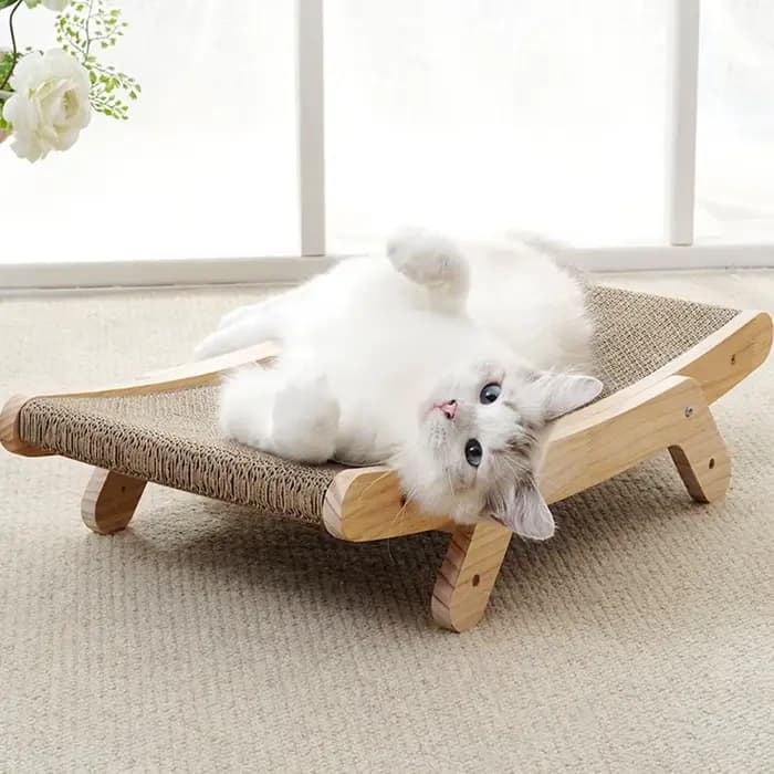 Grattoir pour chat en carton avec cadre en bois massif