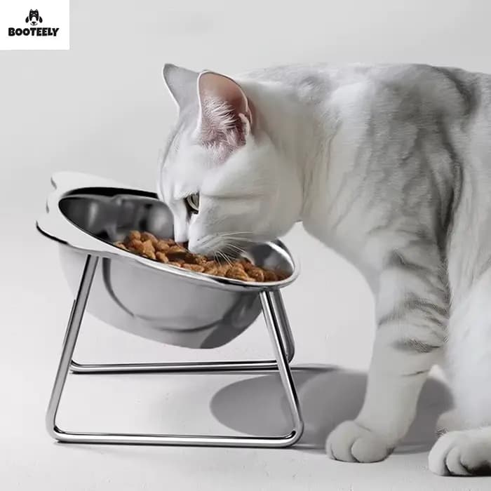 Bol pour chat en acier inoxydable