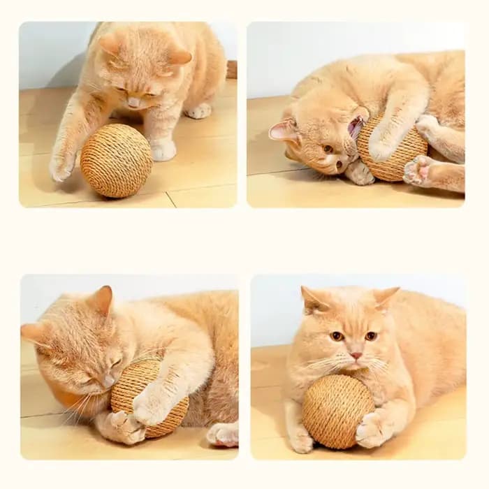 Balle à gratter interactive en Sisal pour chat