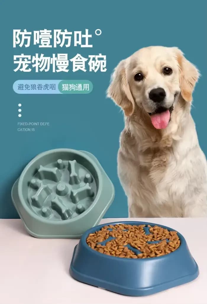Produit pour animaux de compagnie bol de nourriture