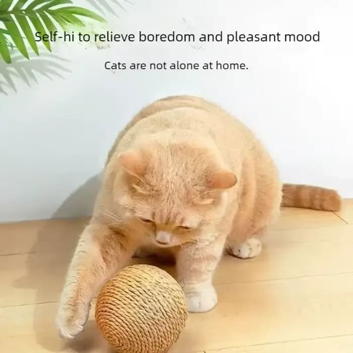Balle à gratter pour chat résistante aux morsures de 8 cm | Jouet interactif pour chaton