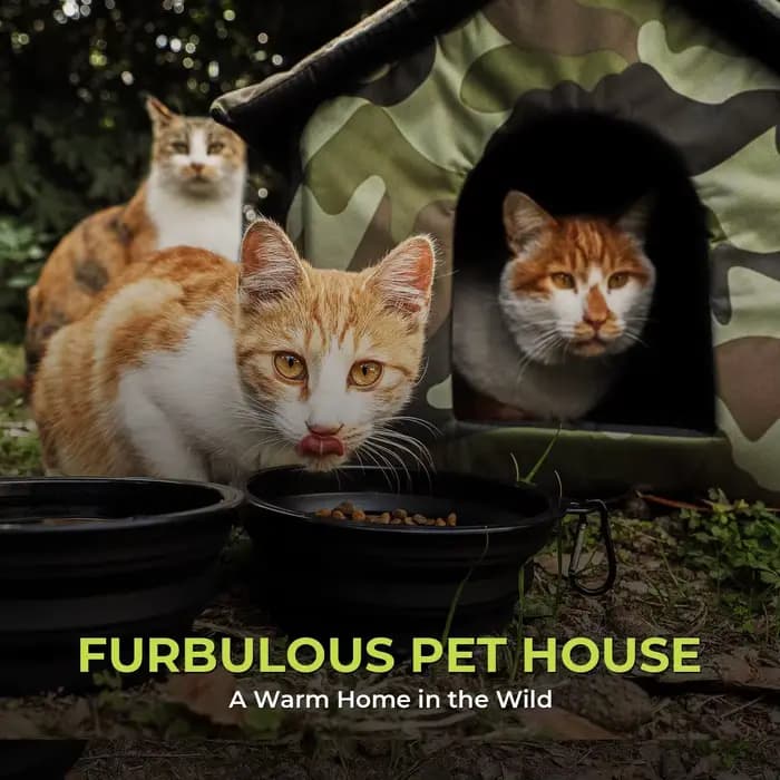 Maison d'extérieur pliable pour chat