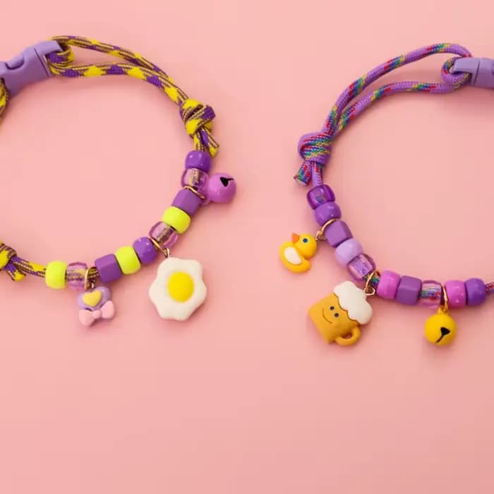 Collier pour chat et chien avec collier tressé assorti