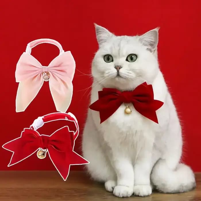 Collier pour animaux de compagnie