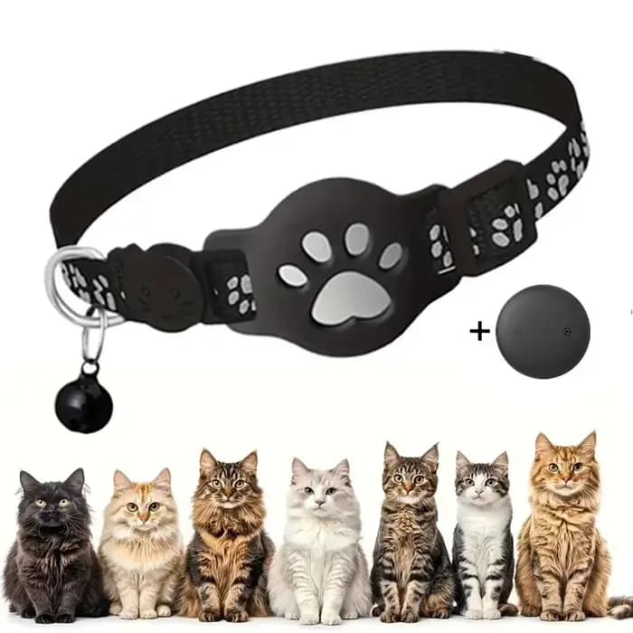Colliers GPS intelligents pour chats