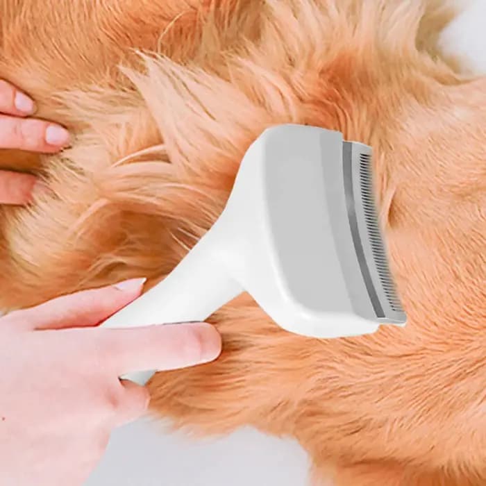 Brosse à trancher pour chiens