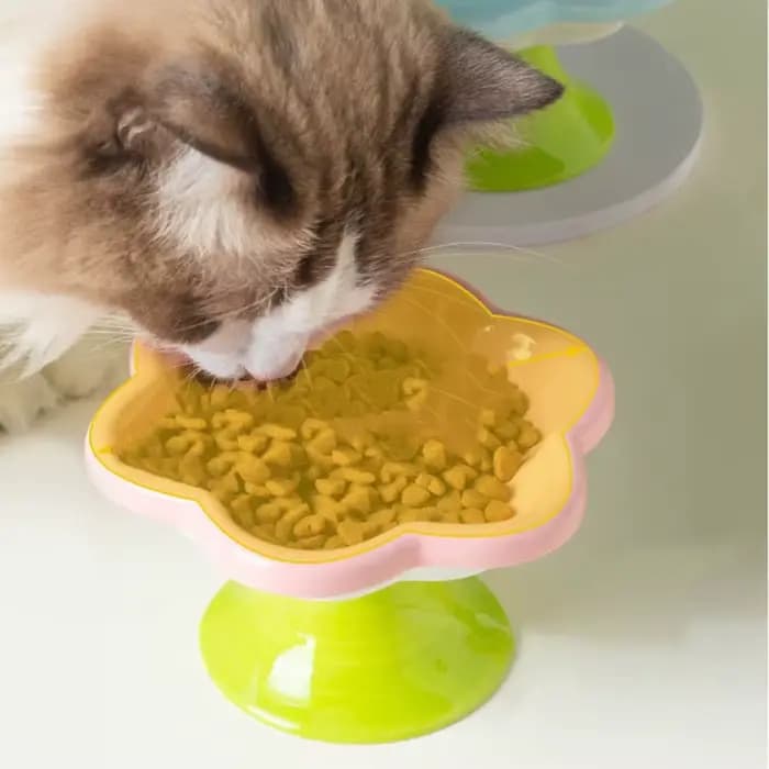 Gamelle en céramique pour chat avec support
