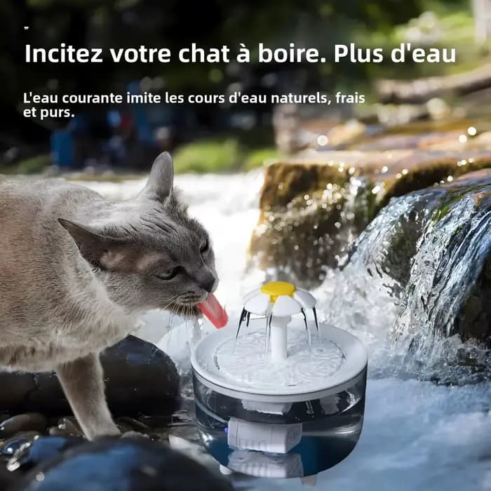 Fontaine à eau pour animaux de compagnie avec 4 filtres