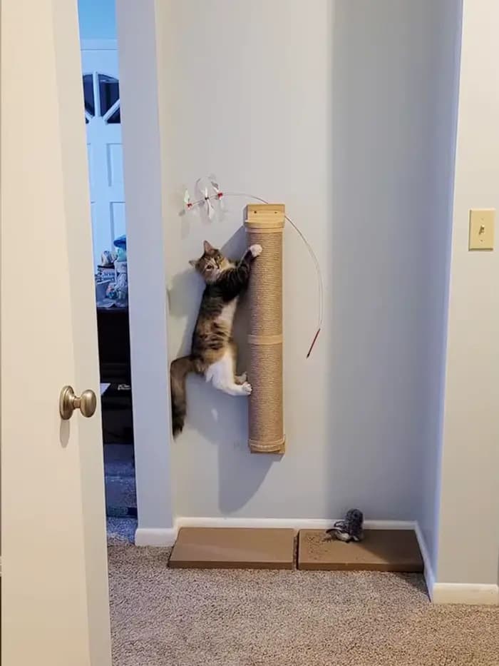 Poteau à gratter pour chat