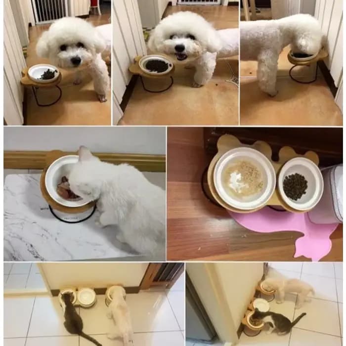Bol de nourriture surélevé en bambou pour chat
