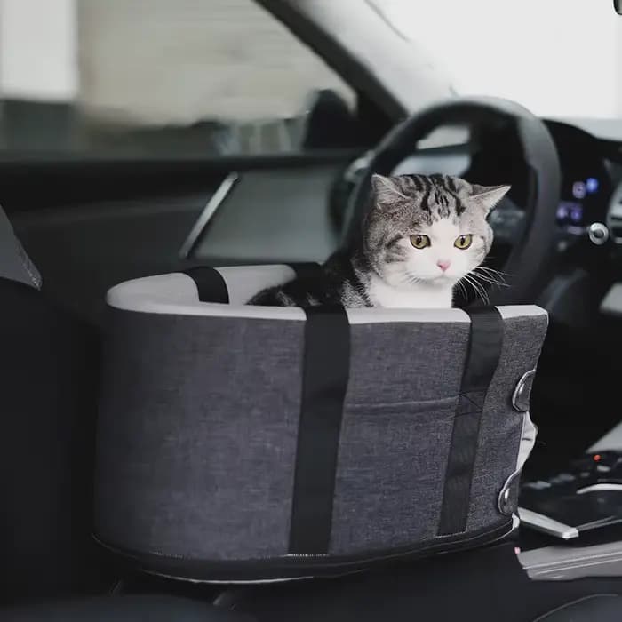 Siège de voiture Portable pour chien et chat