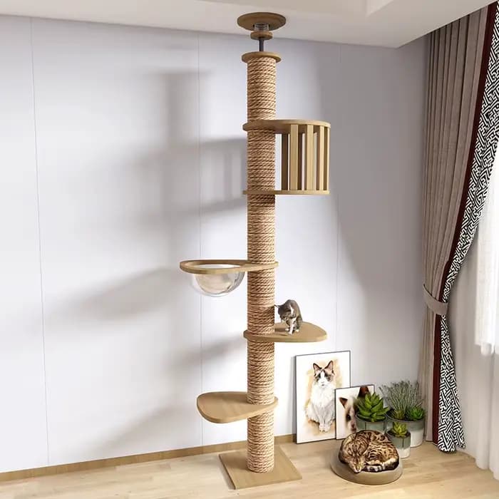 Arbre à chat de haute qualité en bois massif