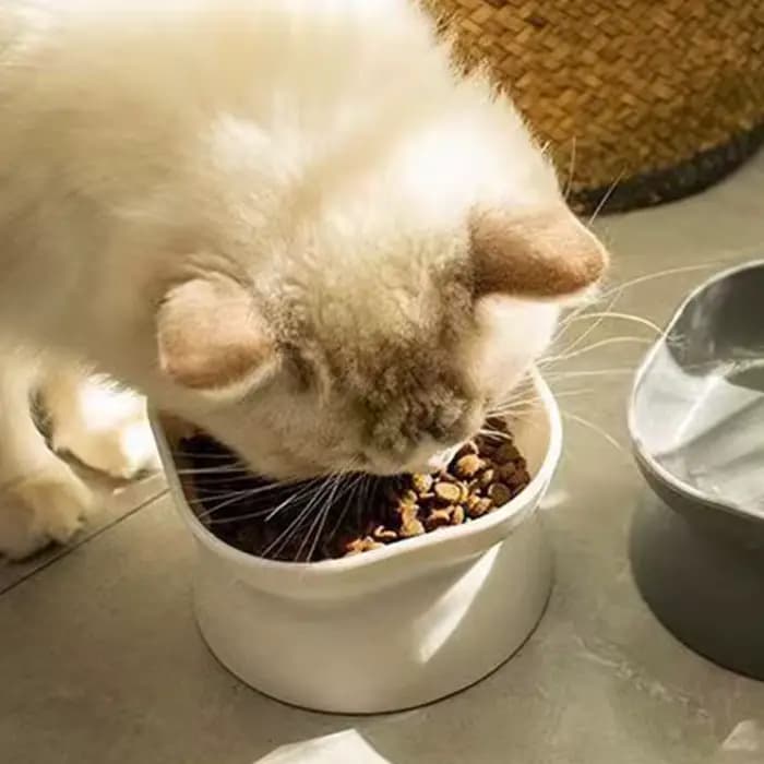 Bol de nourriture pour chat/chien à double usage