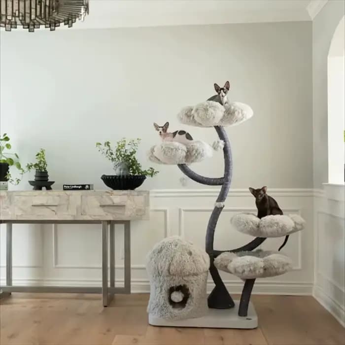 Arbre à chat en bois, tour à chat en bois