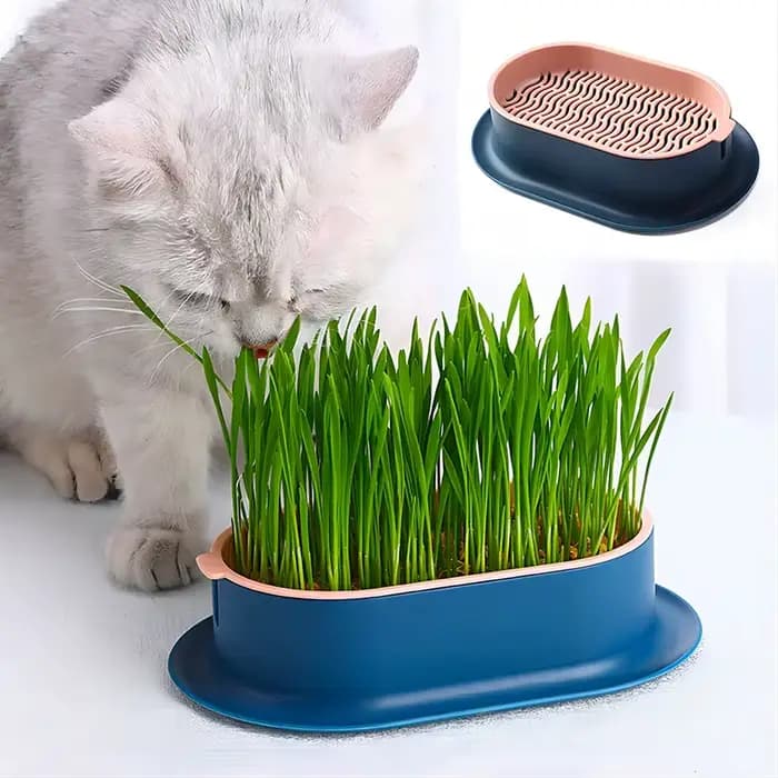 Plat de germe pour chat de compagnie, Pot de culture pour plantes hydroponiques, Pot d'herbe, boîte de Germination, plat de démarrage pour pépinière, boîte de culture en serre