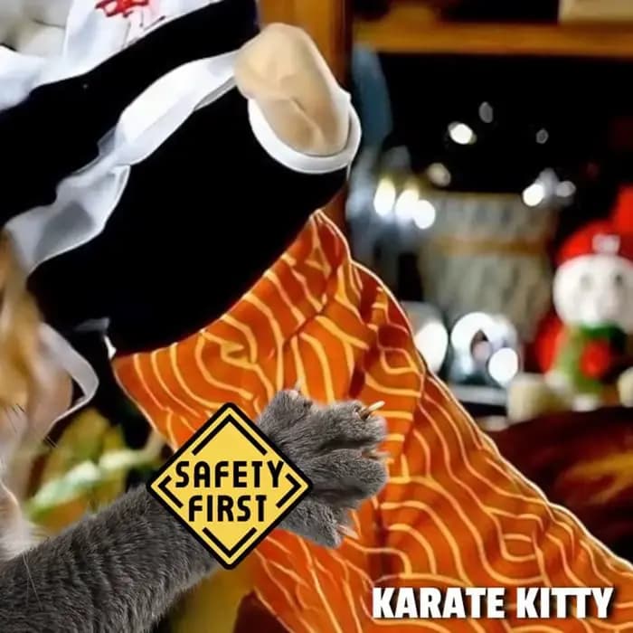 Marionnette de main de lutteur de sumo pour chat