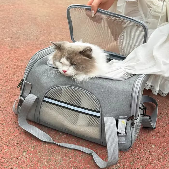 Sacs pour chat sac de Transport pour chien Portable maille respirant pliable sac