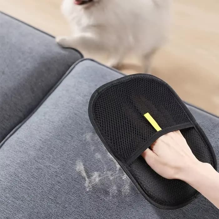 Épilateur pour animaux de compagnie