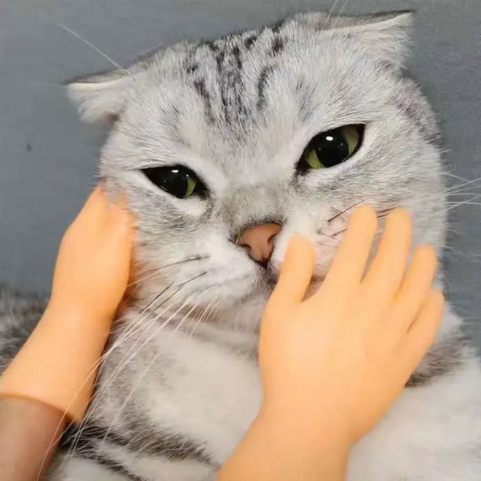 Mini mains amusantes pour taquiner le chat