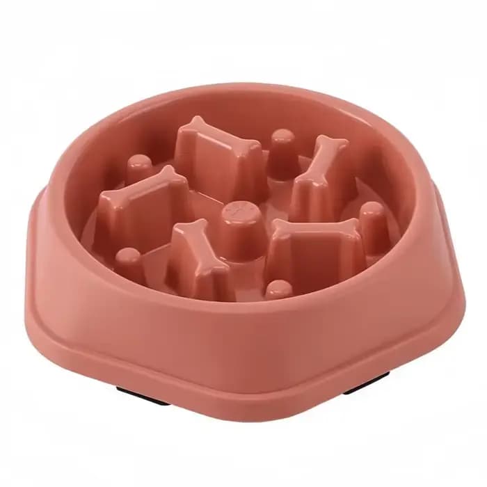 Bol de nourriture lente pour chien et chat