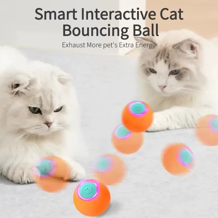 ROJECO – jouets intelligents pour chat