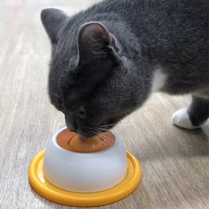 Bol à lécher pour chien/chat