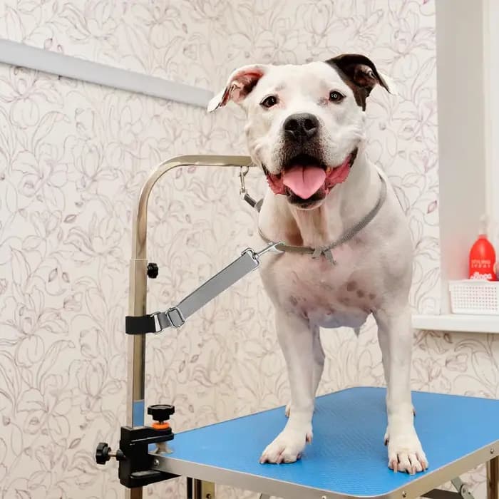 2 pièces accessoires de bras de laisses de base de toilettage de chien de compagnie, sangles d'extension de boucles d'animaux réglables pour la coupe de toilettage de bain