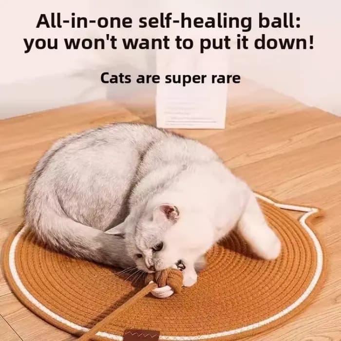 Tapis à gratter pour chat