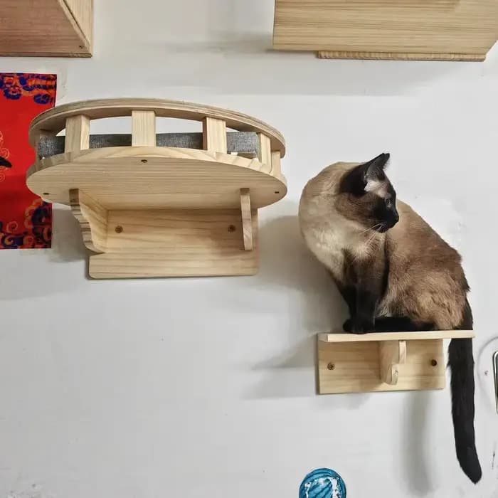 Tour d'arbre à chat en bois