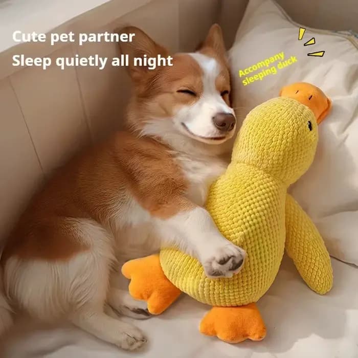 Jouet en peluche pour animaux de compagnie