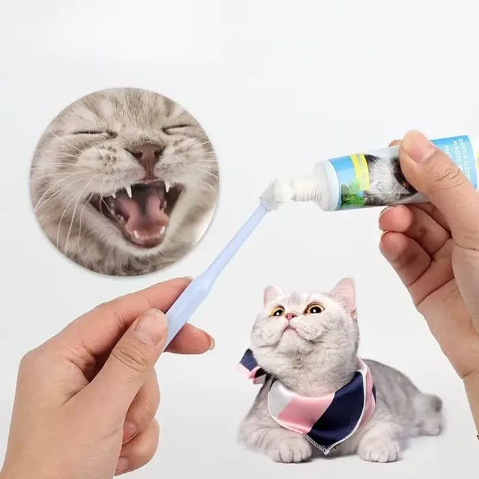 360 ° Brosse à dents pour animaux de compagnie