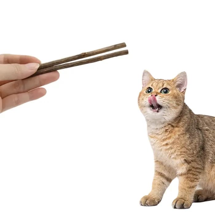 Bâton Matatabi naturel pour chats – Jouet à mâcher pour soins dentaires