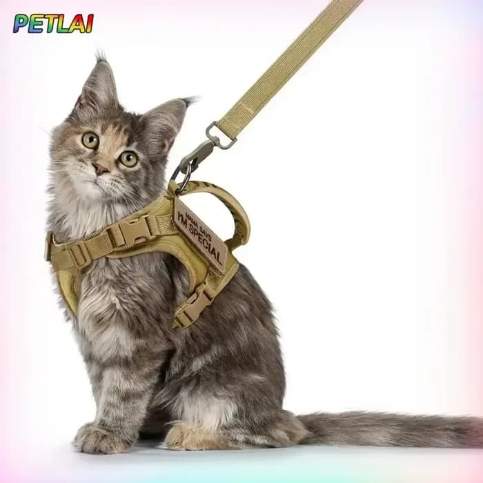 Harnais et laisse tactiques pour chat