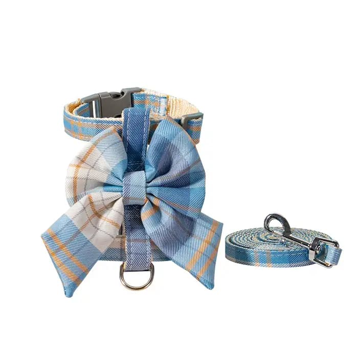 Collier pour chien et chat