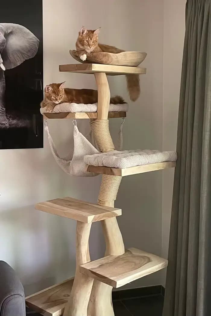 Arbre à chat en bois d'intérieur moderne de haute qualité