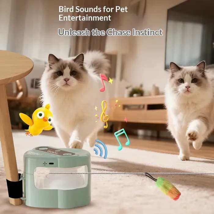 Jouet interactif automatique pour chat