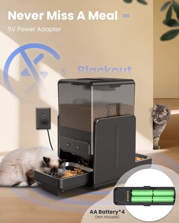 Distributeur automatique de croquettes pour chat